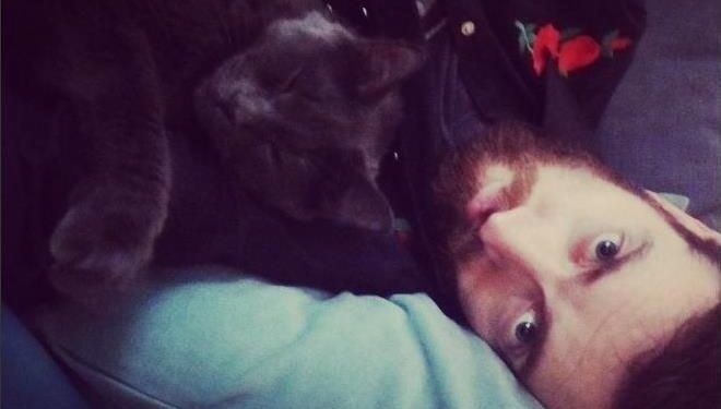 The Sock Covers, las portadas de tus discos favoritos, hechas con medias The Sock Covers, las portadas de tus discos favoritos, hechas con medias