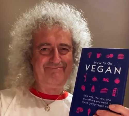 49ae11ec brian may veganismo web