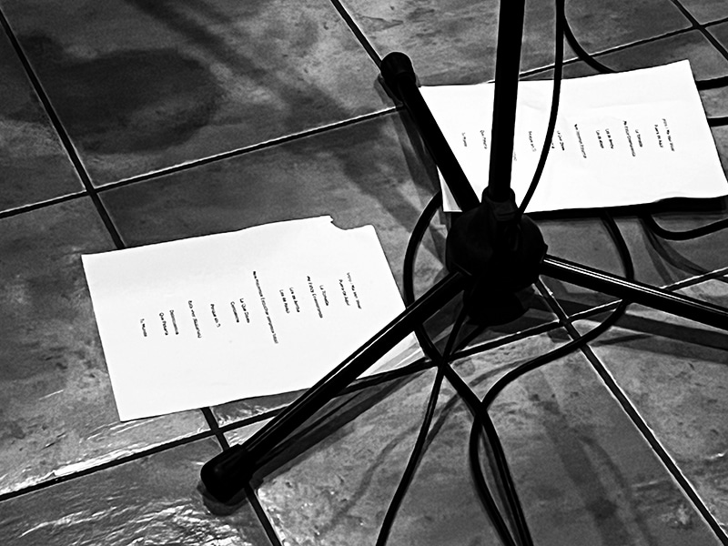 Ska Day el Festival Internacional de Ska en Costa Rica Fotografía - Amira Zarco, Setlist Diezcañas 2025