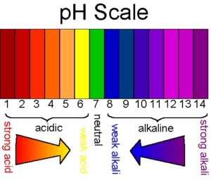 15 Mind-blowing Facts About PH Scale 