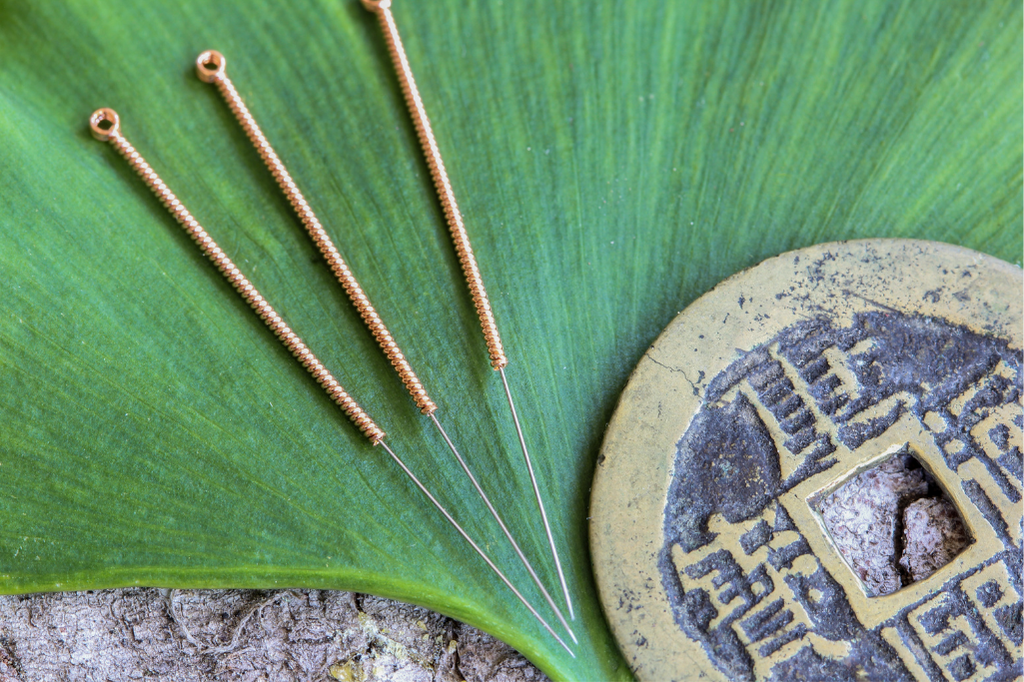 Traditional Chinese Medicine In The Modern Era Evinature