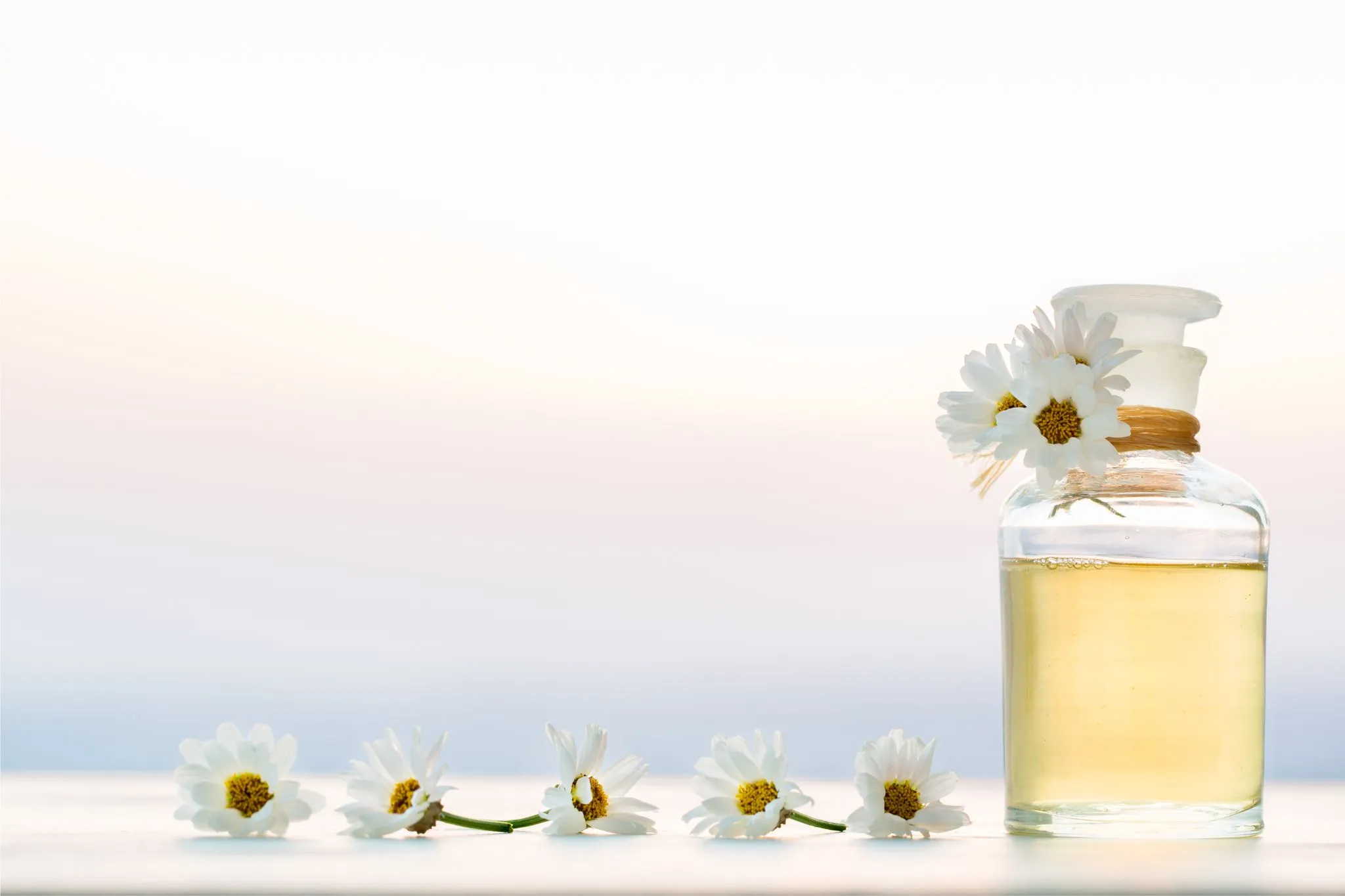 The History & Benefits of Chamomile