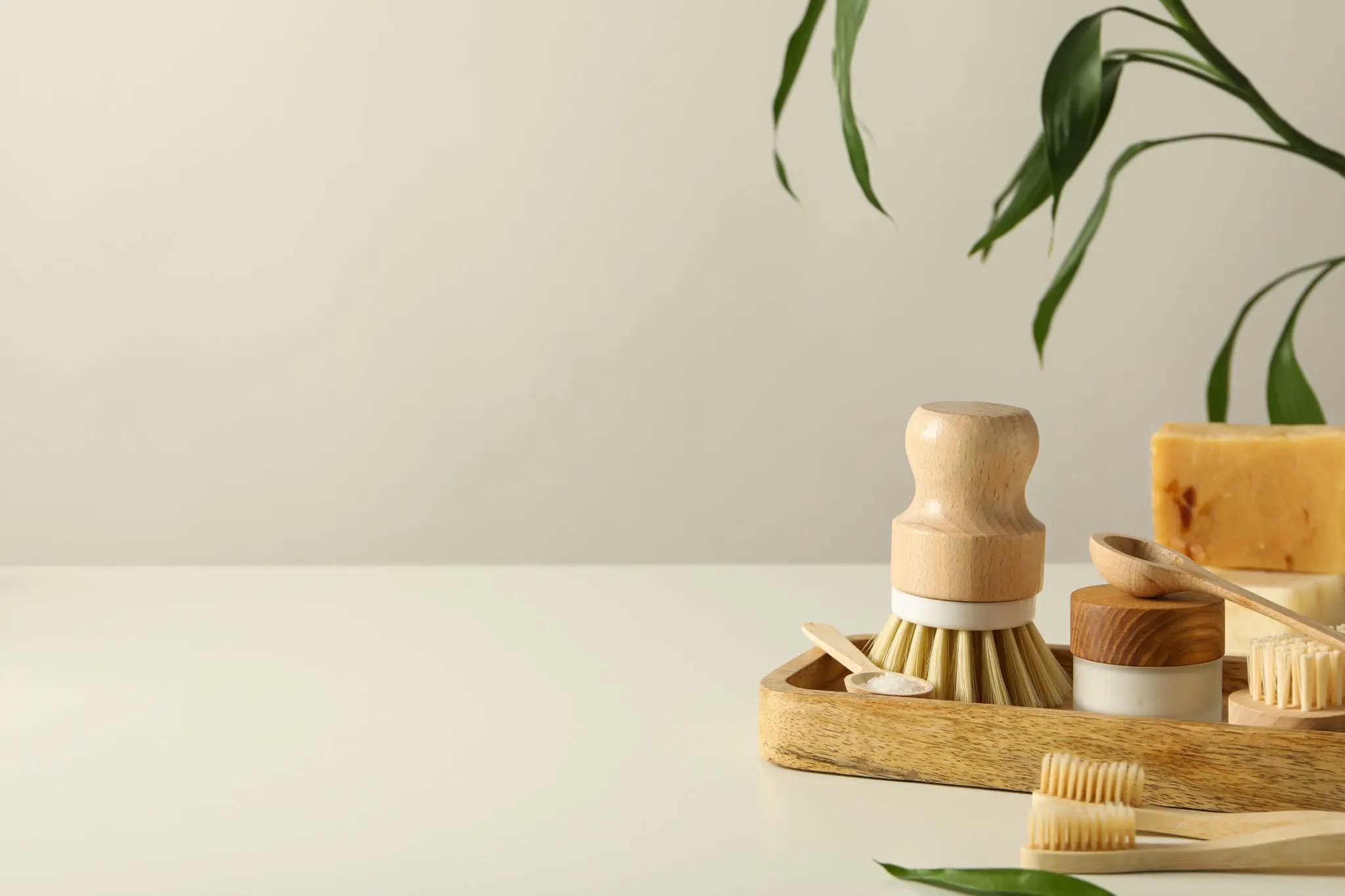 Crohn's Disease SelfCare Top Tips Evinature