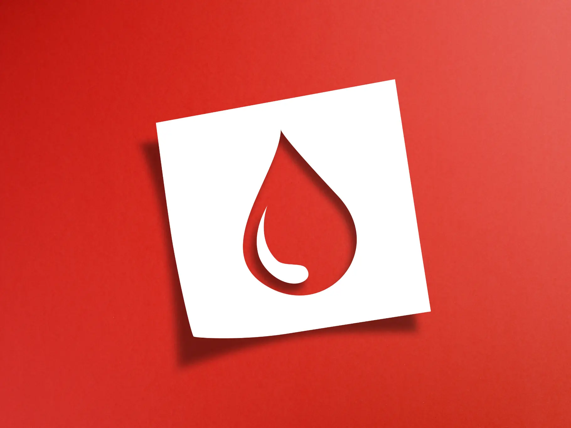 Does Diverticulitis Cause Bleeding? Evinature