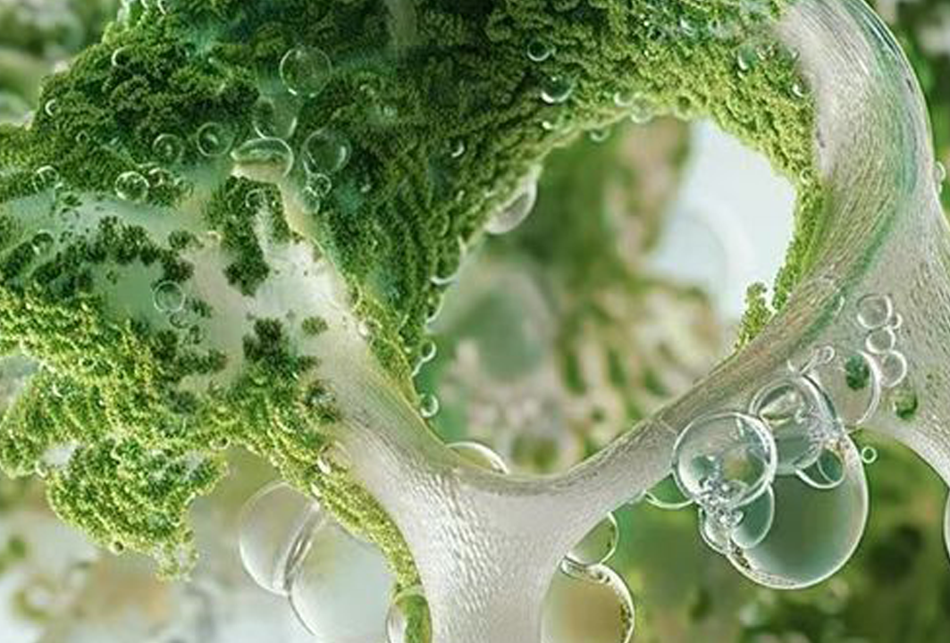 Beyond Nutraceuticals