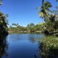 Visite du Fairchild Tropical Garden