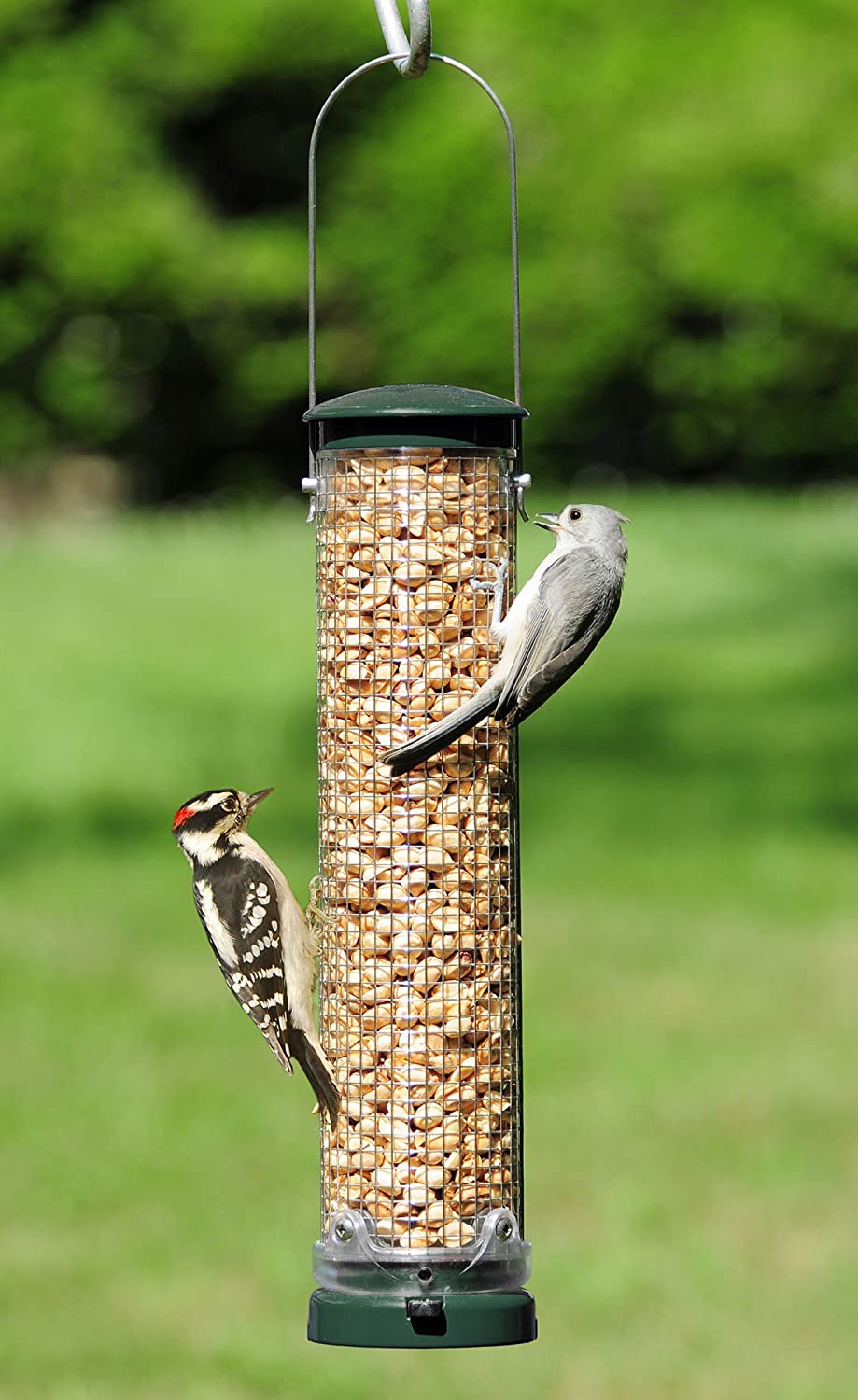 Out-of-the-Shell Peanut Feeders