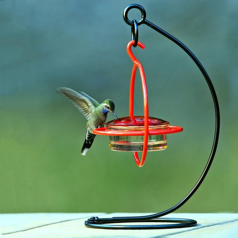 Tabletop Hummingbird Stand Flying Friends