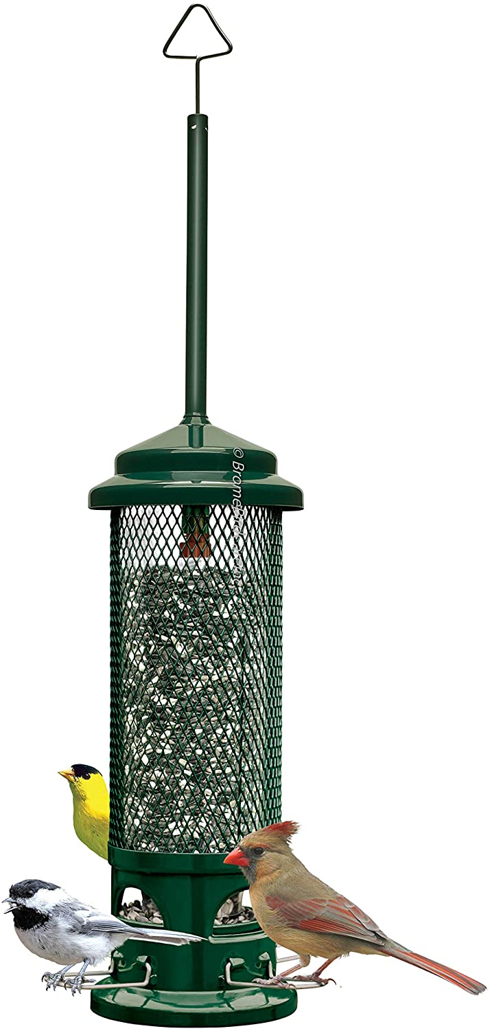 squirrel buster bird feeder warranty