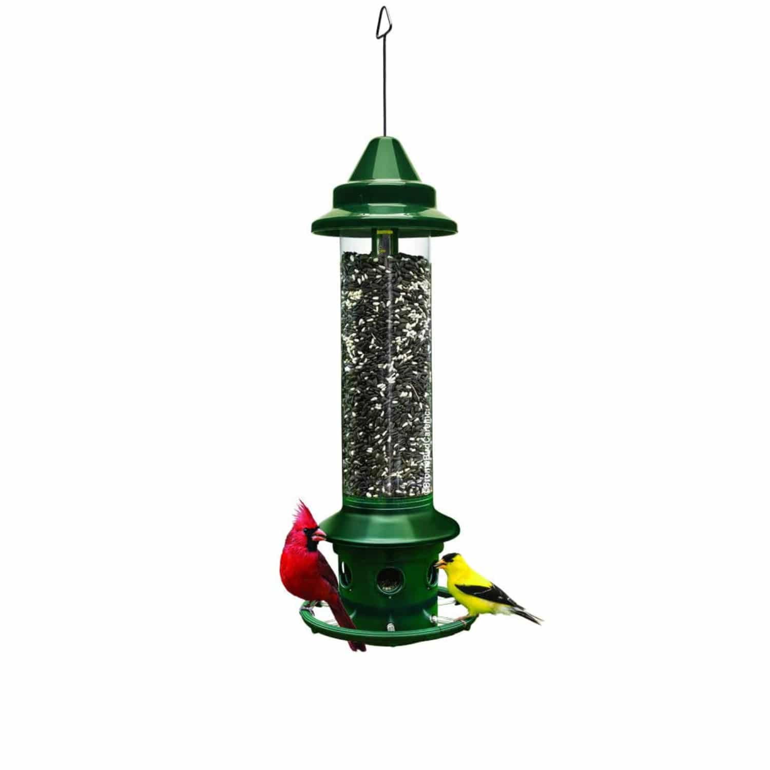 Squirrel Proof Bird Feeders