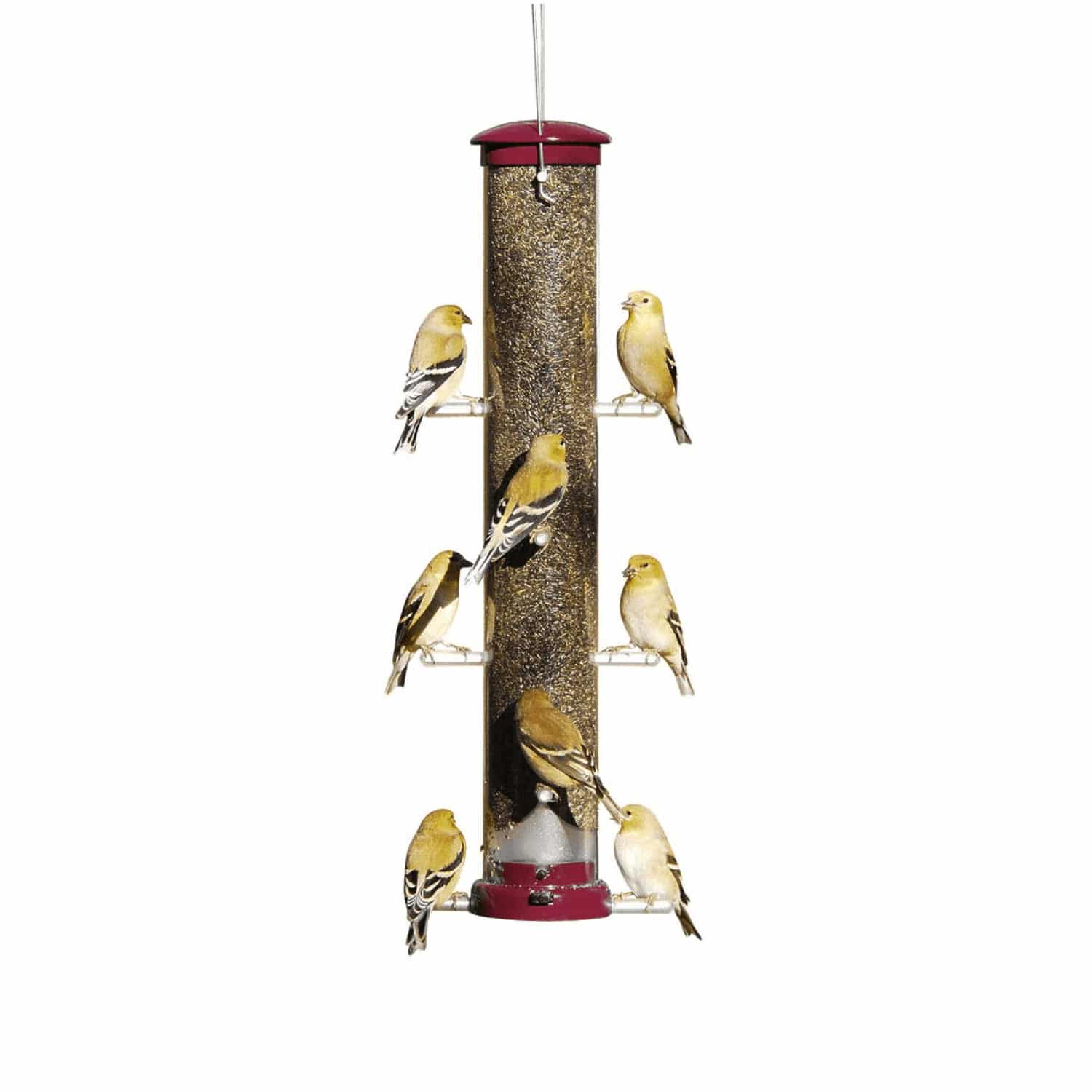 Finch Feeders