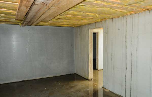 basement water damage first restoration services