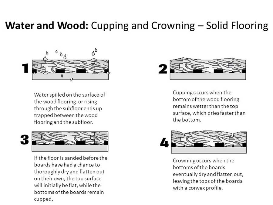 how water affects hardwood floors first restoration services