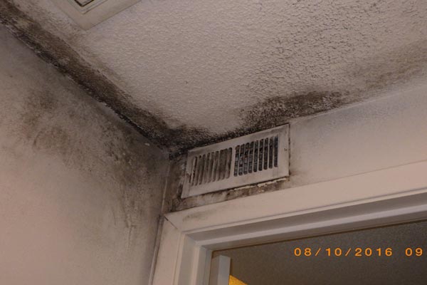 how to remove mold first restoration services