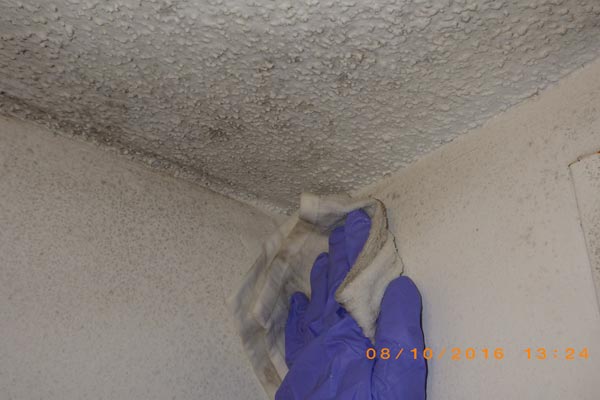 mold hand wipe cleaning first restoration services