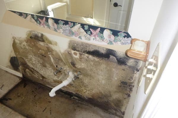 mold in bathroom first restoration services