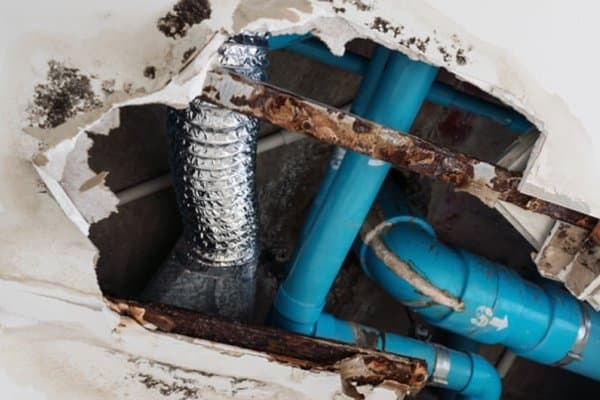 Water Removal Services, water damage repairs