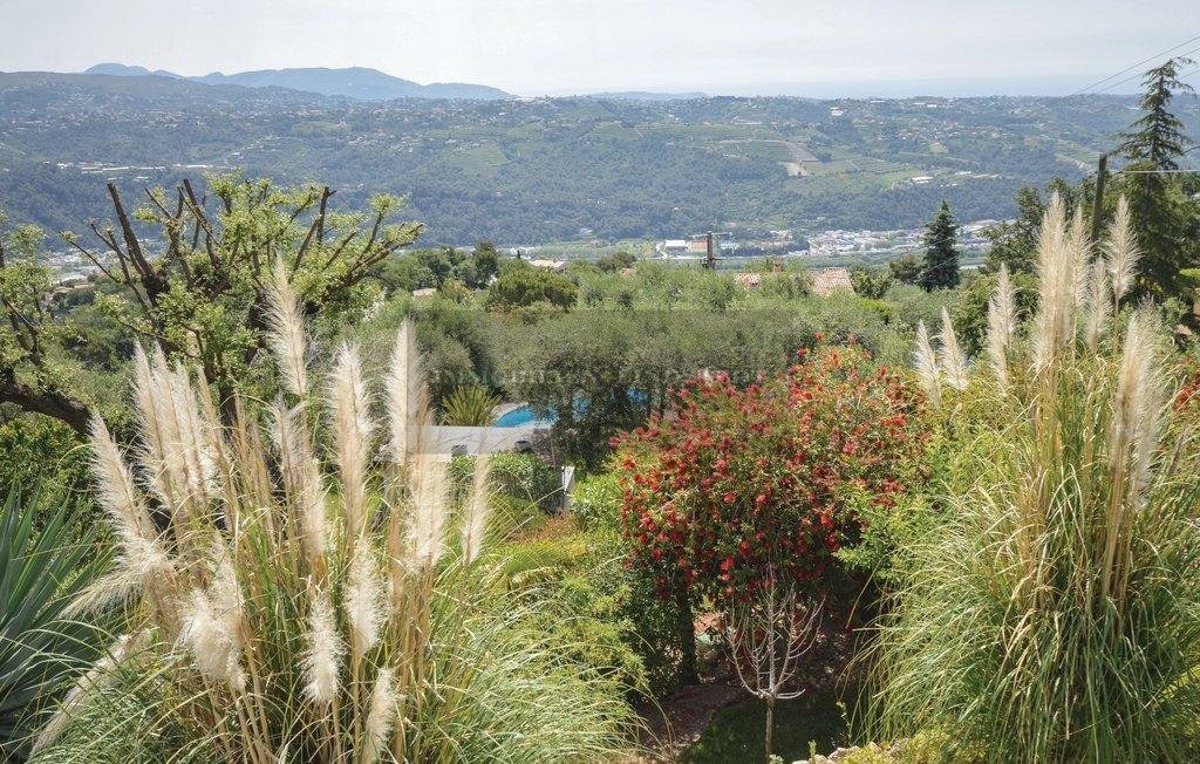 Garden with view
