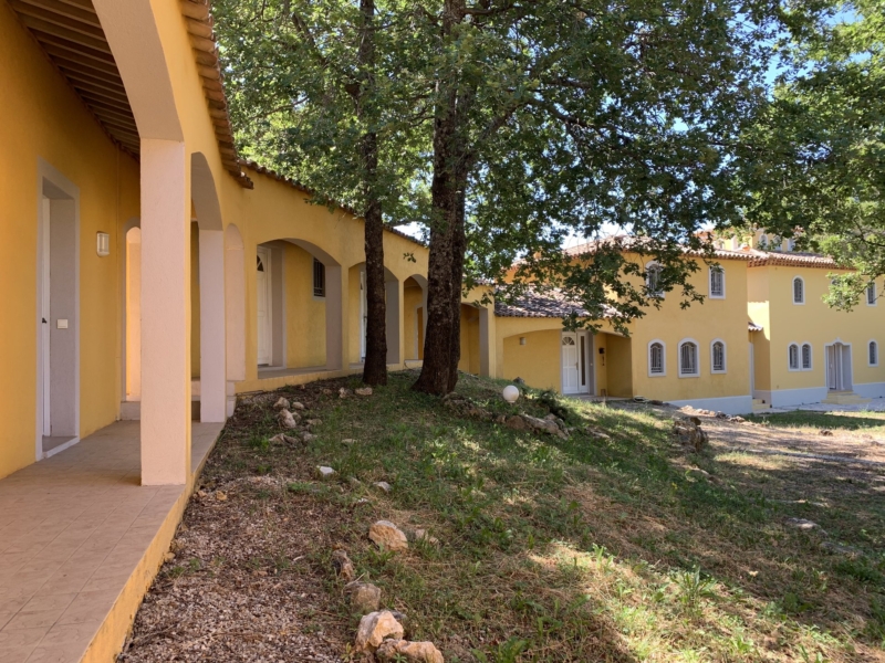 Courtyard Tile