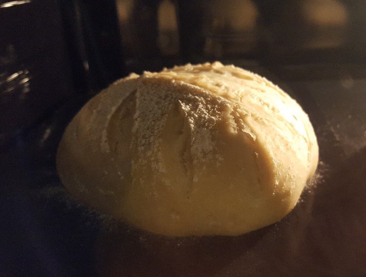 Im Backofen geht das Brot noch auf