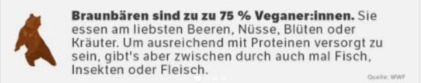 Schön gegendert, aber ein Bär ist kein Veganer - ARD / funk auf Instagram