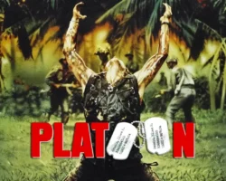 01-PLATOON-Cov