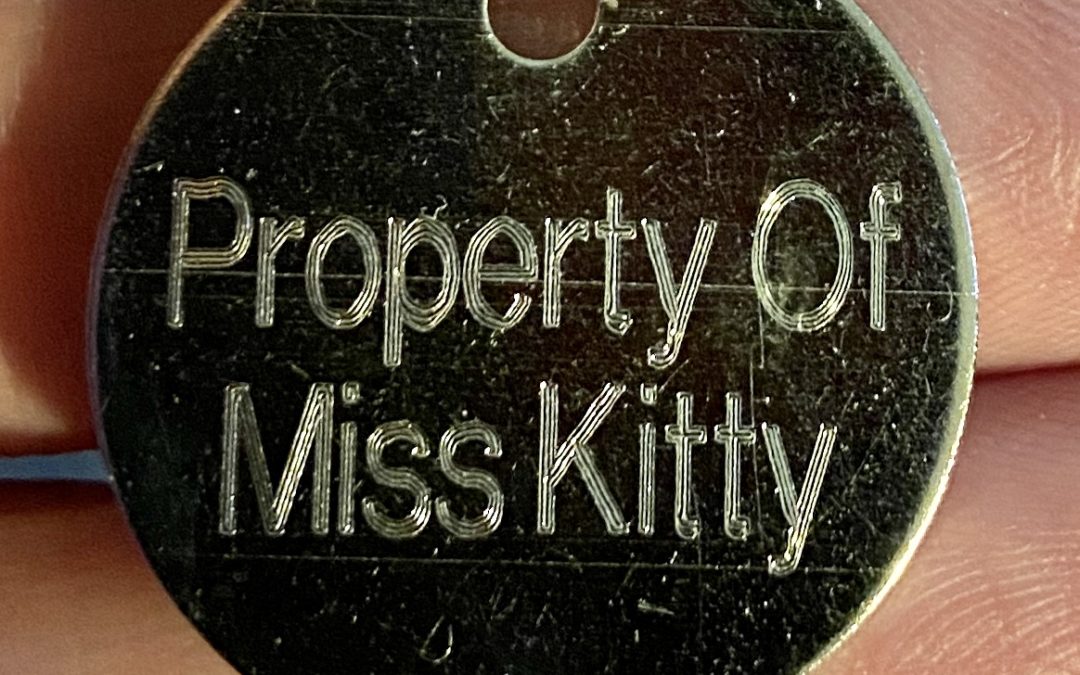 Your Chasity with Miss Kitty