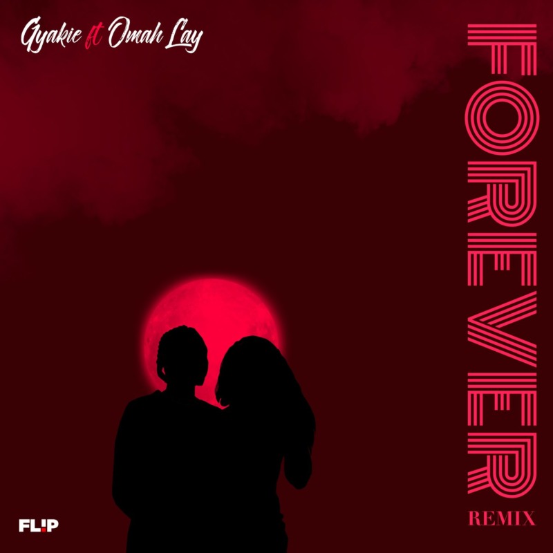 Forever (remix)