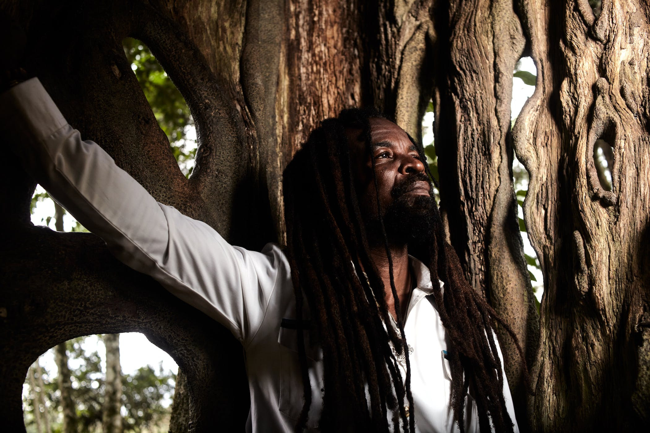 Rocky Dawuni shares a new timely piece, “Shade Tree” Lambo ˣᵗʳᵃ