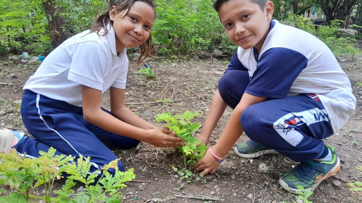 Mina La India, un proyecto minero comprometido con el cuido y protección del medio ambiente