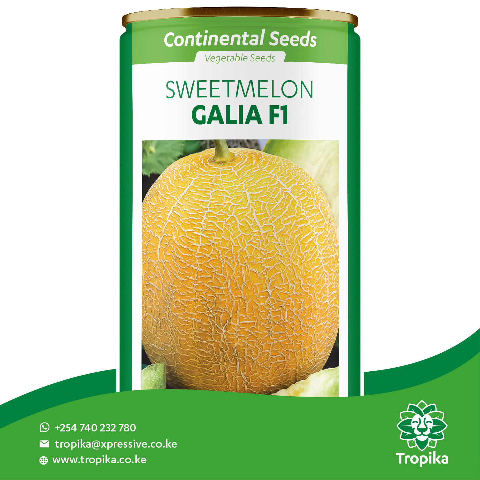 Hybrid Sweet Melon Galia F1 Certified Vegetable Seeds Tropika