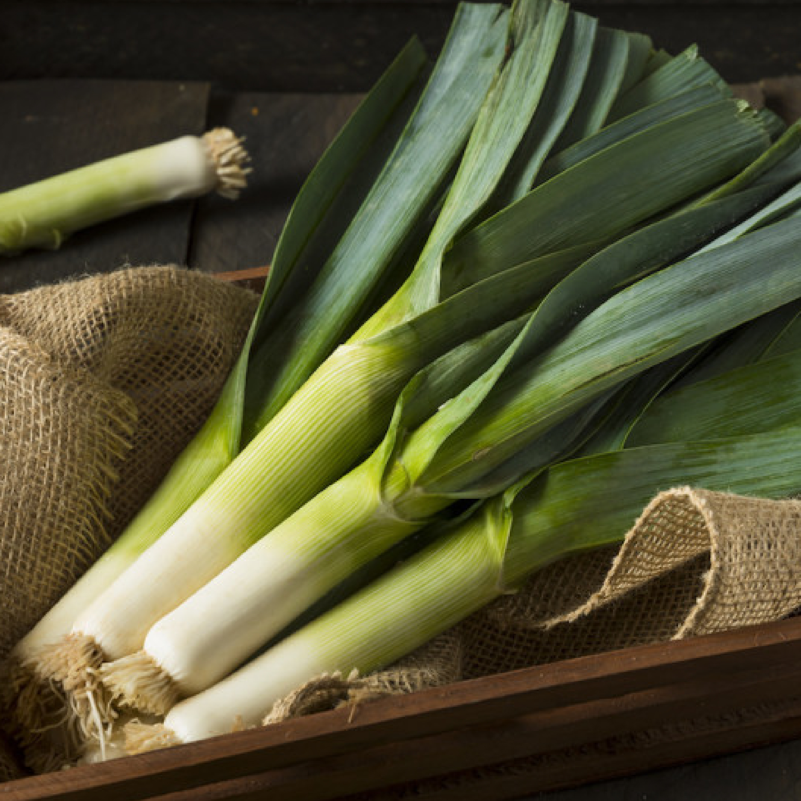 Leek Seeds