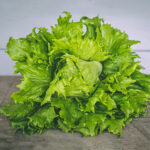 Lettuce Seeds