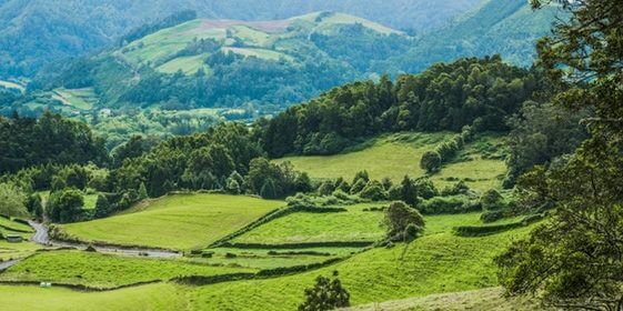 Coffee Farm or Plantation in Colombia 