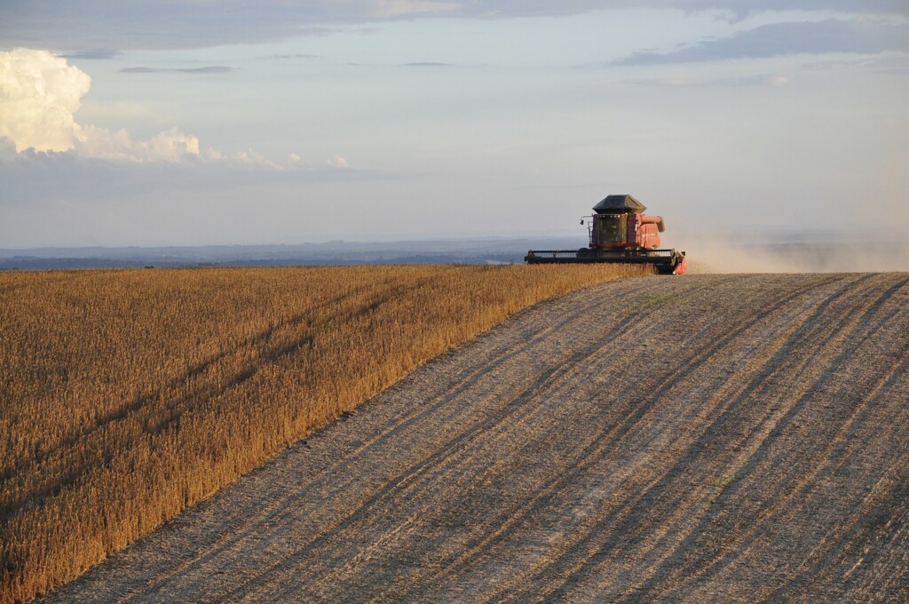 soybean brazil export