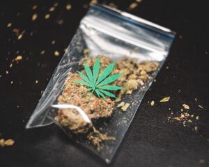 Cannabis exportation guidelines