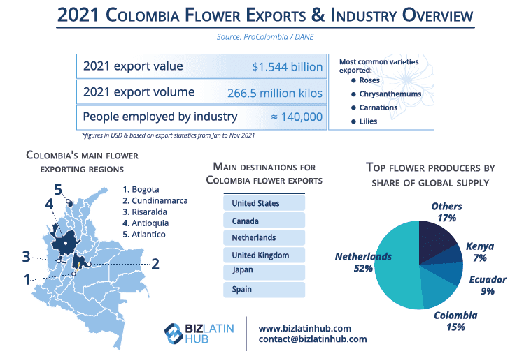A Biz Latin Hub infographic related to 2021 Colombia flower exports and the flower industry in general