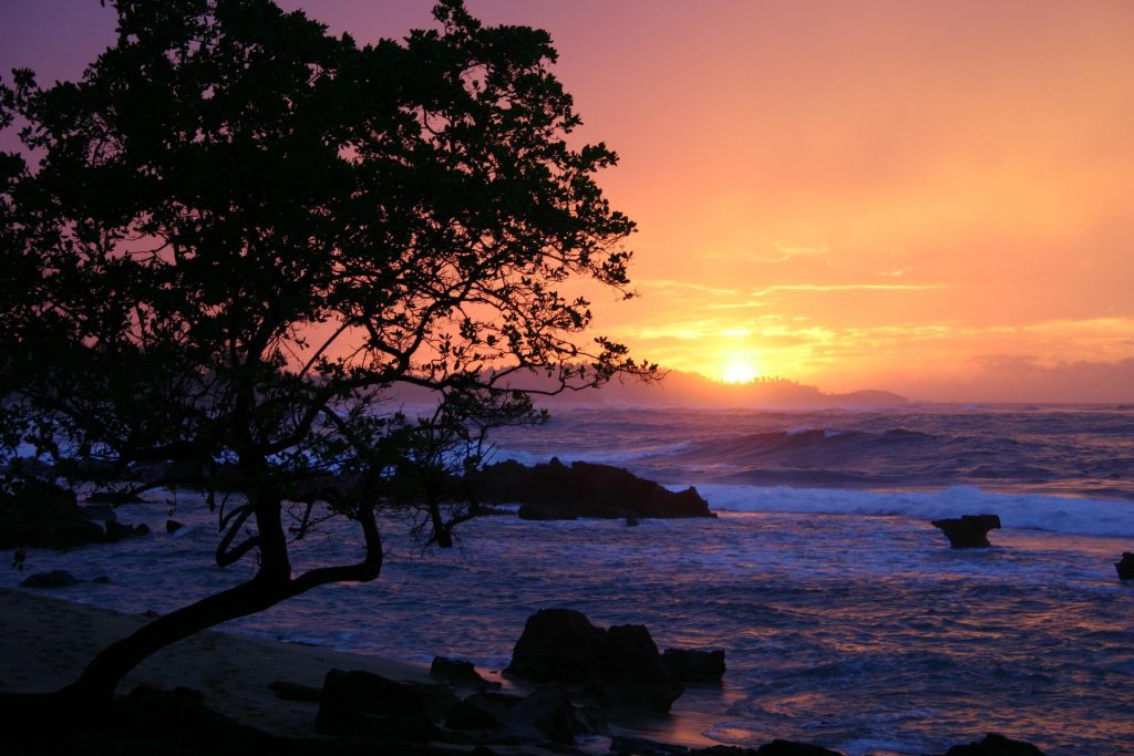 A sunset on the island of Puerto Rico, where starting a business involves five key steps.