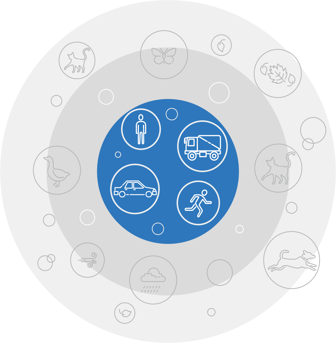 accusense-diagram min