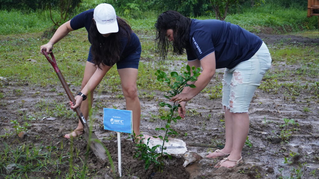 MEC Tree Planting