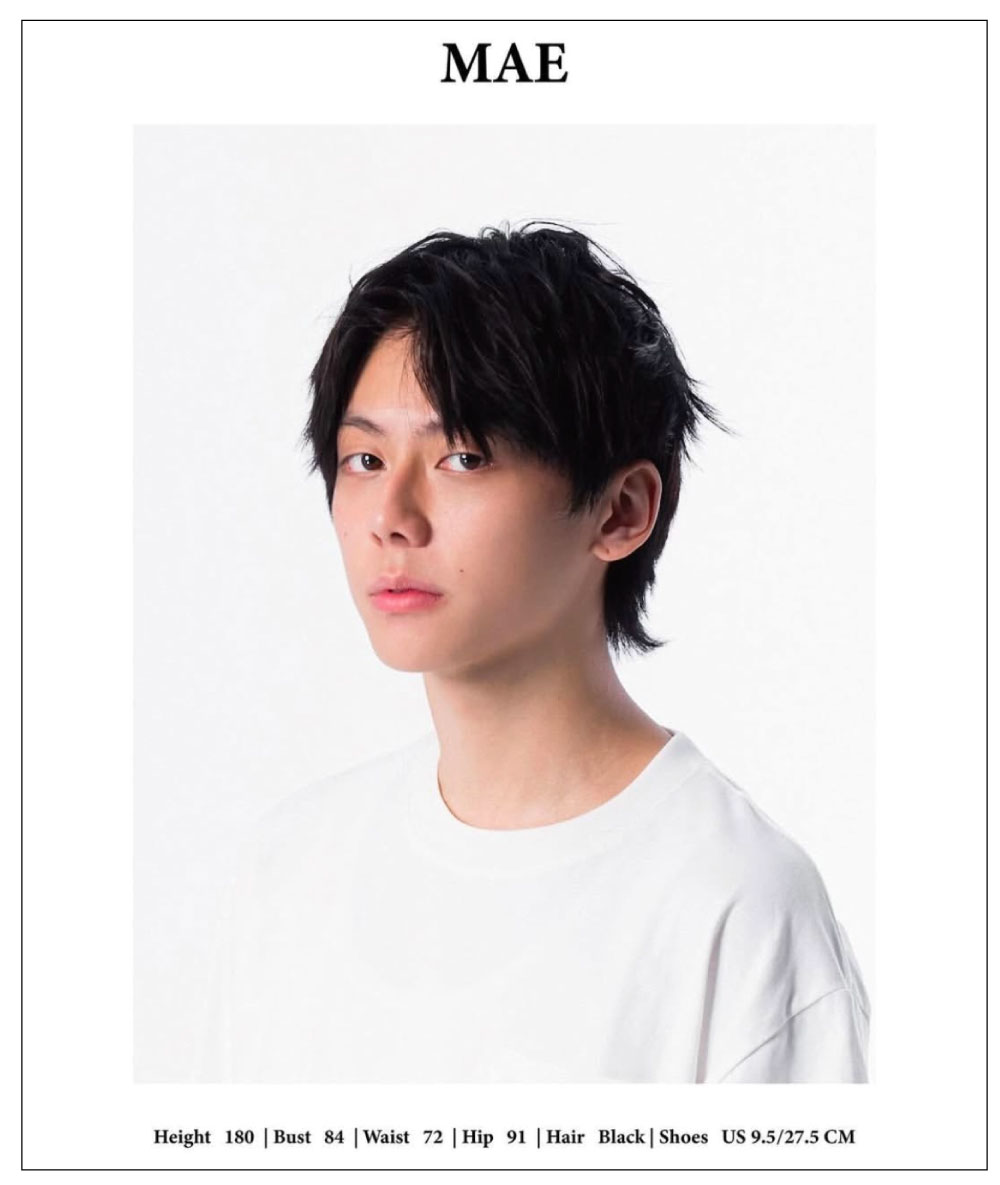 亞梅瑟 Model Card