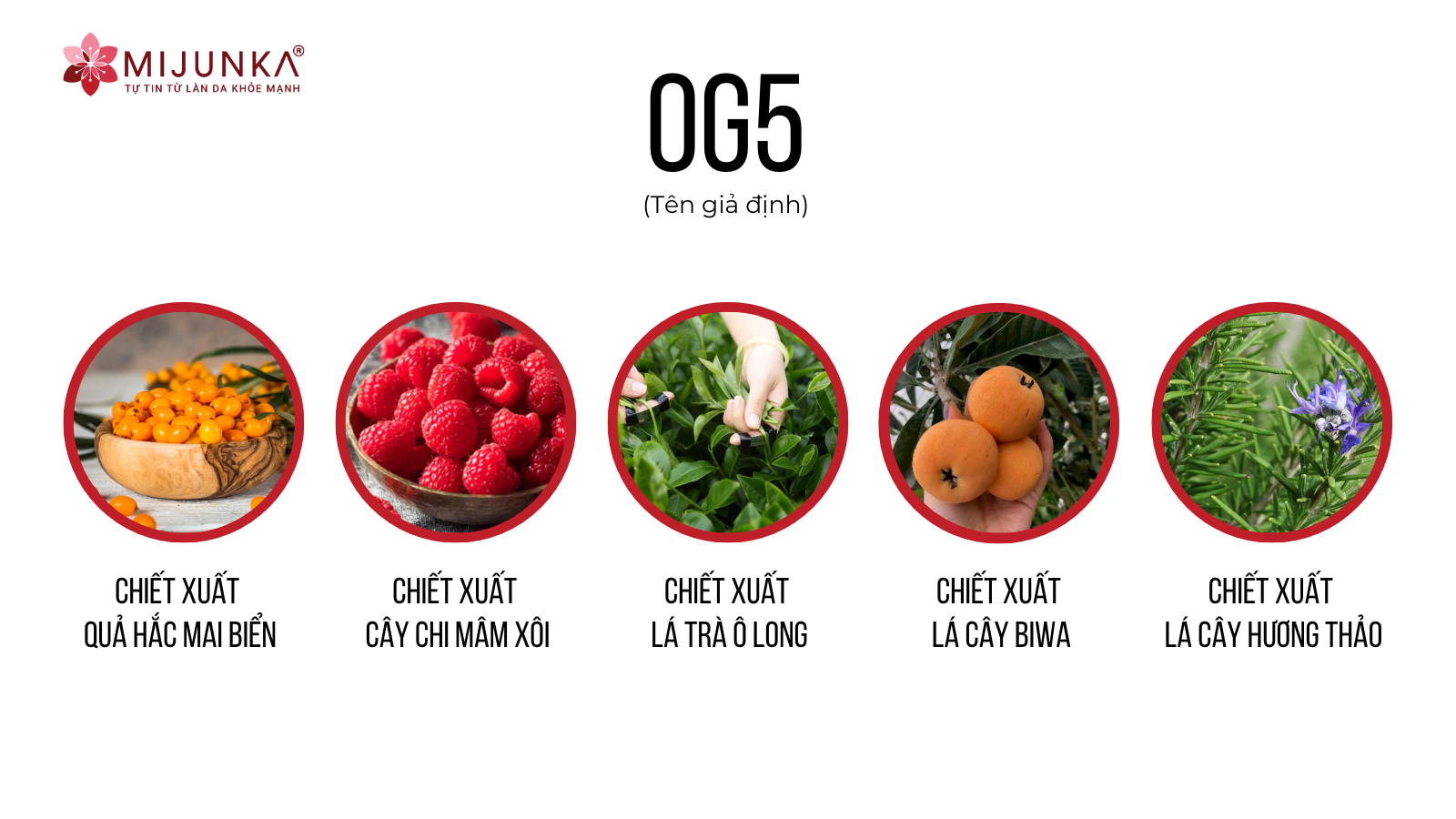OG5 siêu sao chống lão hóa 