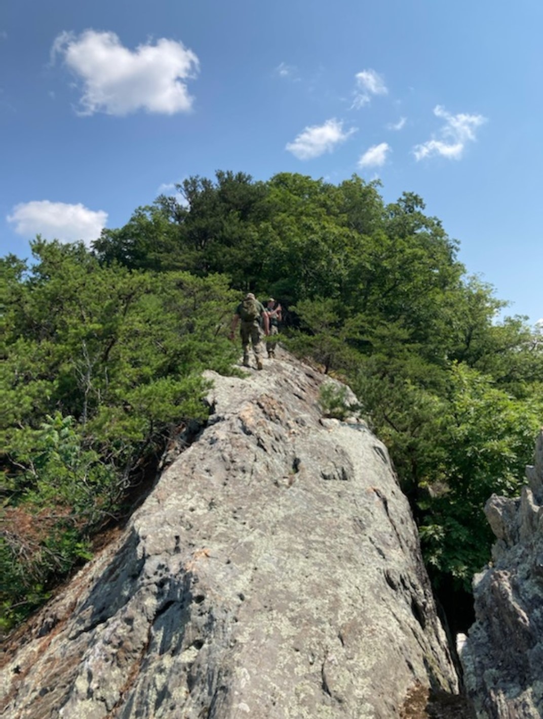 Search for jogger suspended Wednesday due to impending rain event