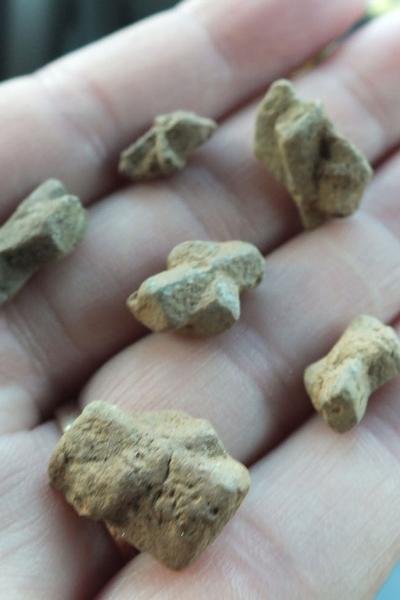 New Year’s Day Outing to be held at Fairy Stone Park