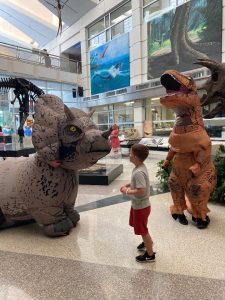 A young festival-goer approaches to volunteers in dinosaur costumes, who posed for pictures with museum visitors. 