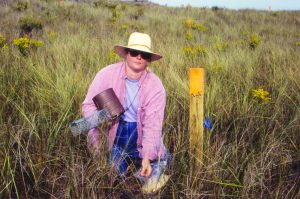 Dr. Nancy Moncrief conducts fieldwork in Virginia's Barrier Islands in the 1990s.