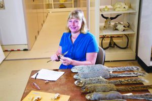 Dr. Nancy Moncrief, Curator Emerita, Virginia Museum of Natural History.