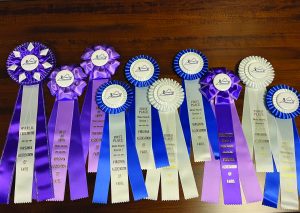 The Henry County Fair won ten media awards at the Virginia Association of Fairs Annual Conference.