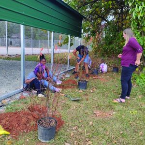 Snow Creek Elementary fifth grade students plant native bushes alongside outdoor classroom.