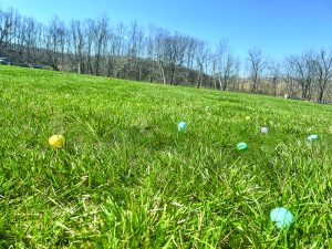 Harvest Youth Board members ‘hid’ 20,000 Easter eggs in the field at the Monogram Smith River Sports Complex, before excited youngsters gathered to collect the eggs during the annual Books and Bunnies event.